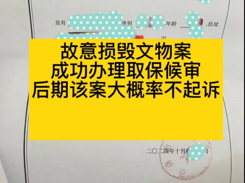 故意损毁文物案当事人成功办理取保候审后期该案大概率不起诉#无罪辩护律师 #不起诉辩护律师#大案要案辩护律师哔哩哔哩bilibili