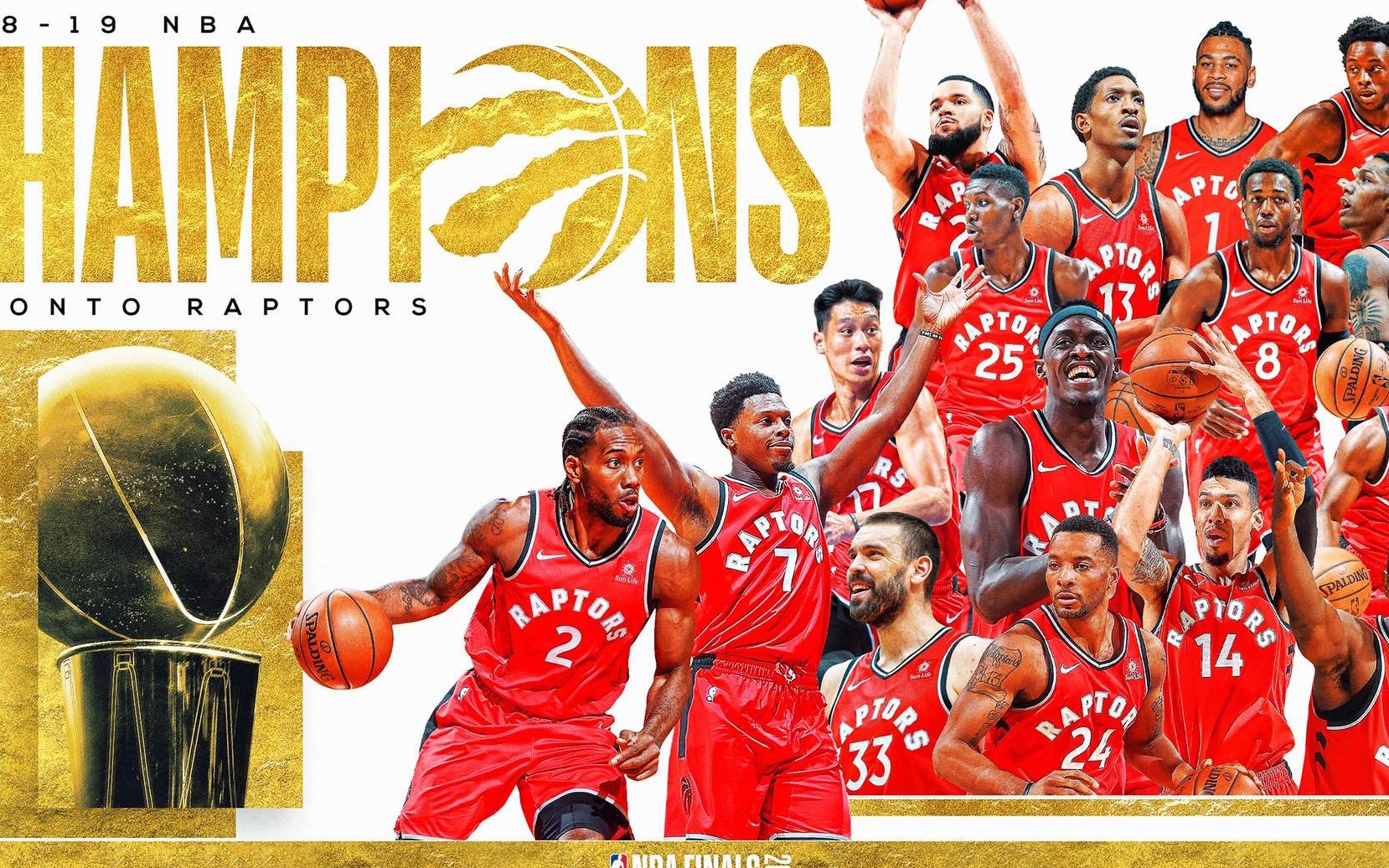 多伦多猛龙队 飞龙在天的原因