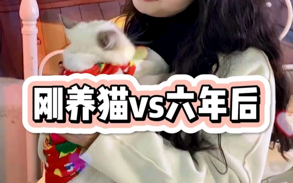 养猫人的真实!哔哩哔哩bilibili