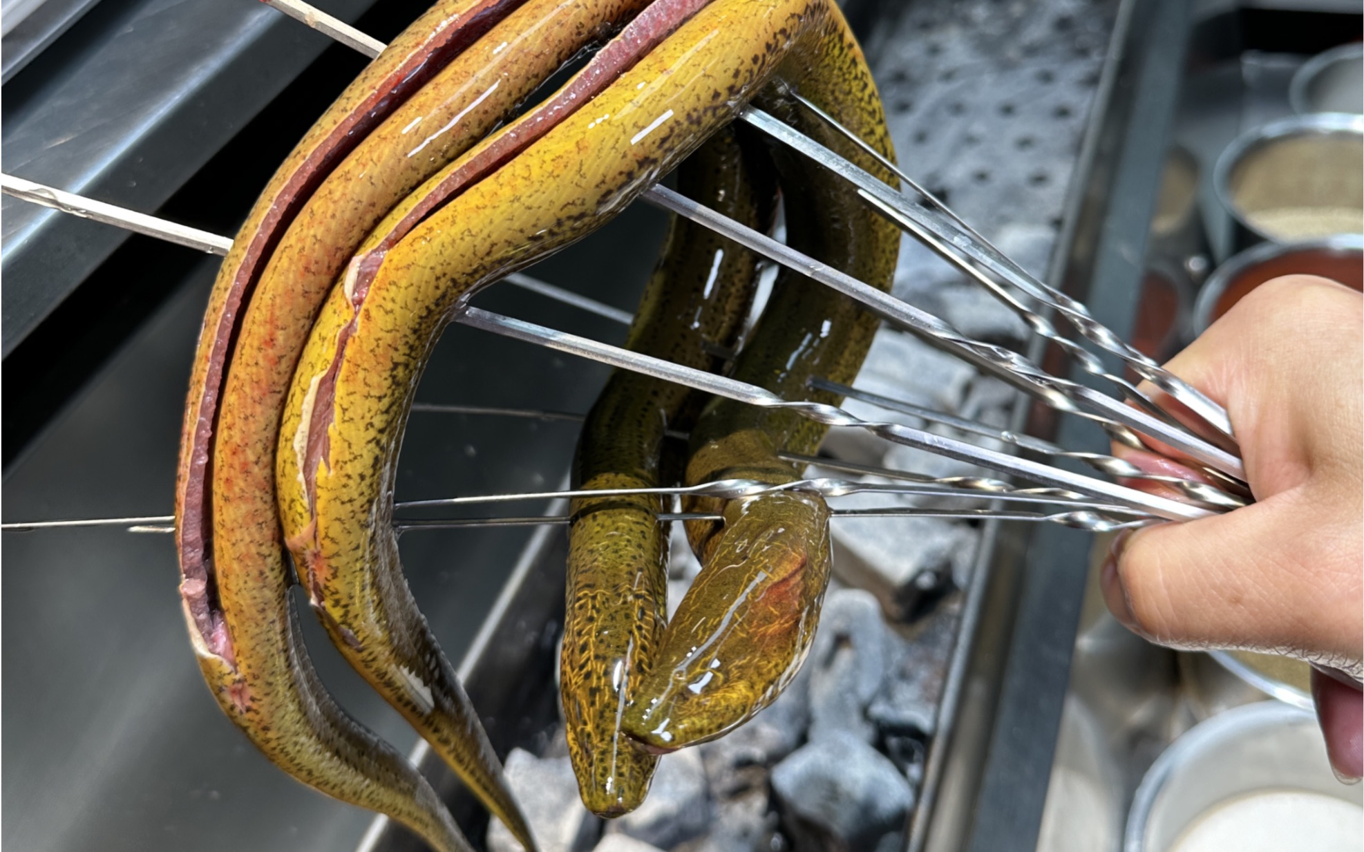 鲜嫩爽滑香辣爽口的特色香辣烤鳝鱼