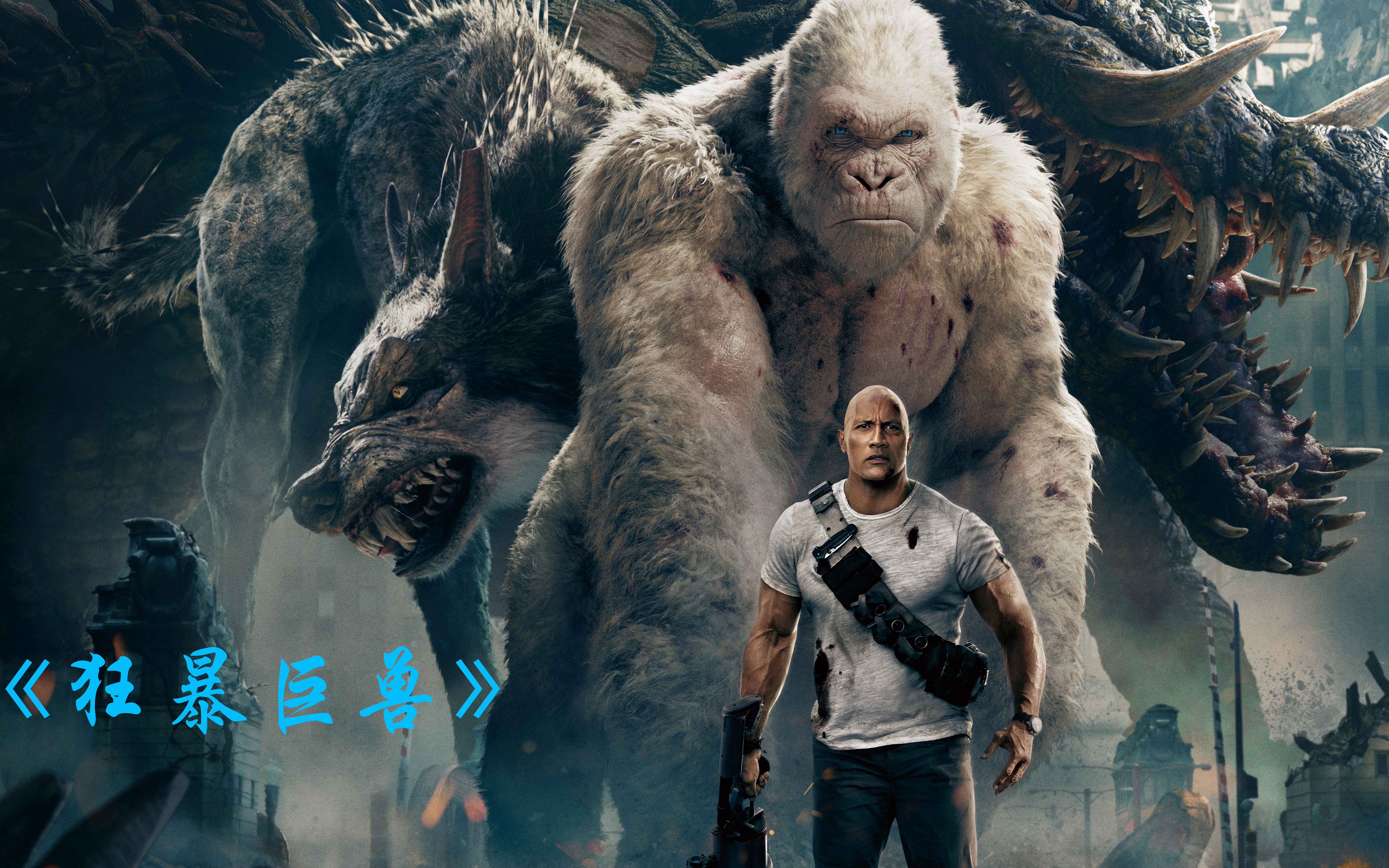 狂暴巨兽猩猩知我心红紫见谁心