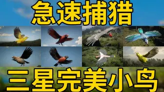 【荒野大镖客2】无限完美鸟！教你急速捕猎七种稀有小鸟