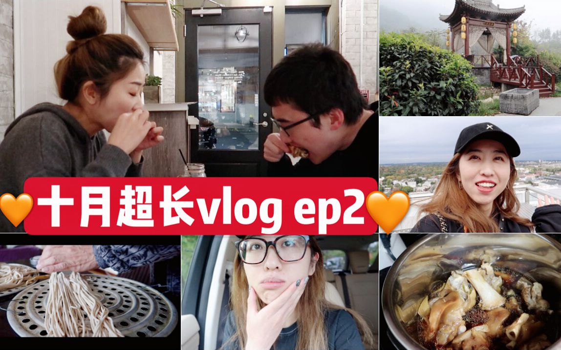 十月超长vlogep2一个人回西安都是好吃的快手炖猪蹄sw活动