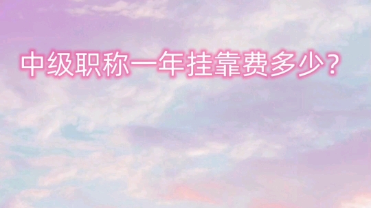 中级挂靠一年多少钱?哔哩哔哩bilibili