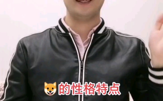 狗的性格特点哔哩哔哩bilibili