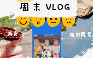 Download Video: 【日常VLOG】捞鱼+烤鱼+免费导游+路边风景[哈哈]周末捞鱼需谨慎哦~