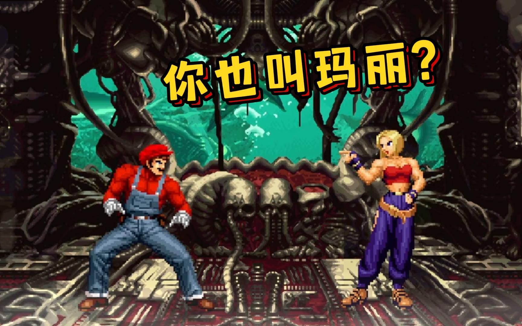 超级玛丽 vs 布鲁玛丽