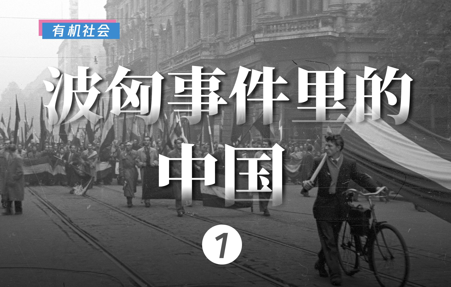 在解决波兰危机的过程中,中国究竟发挥了怎样的作用?【有机社会】哔哩哔哩bilibili