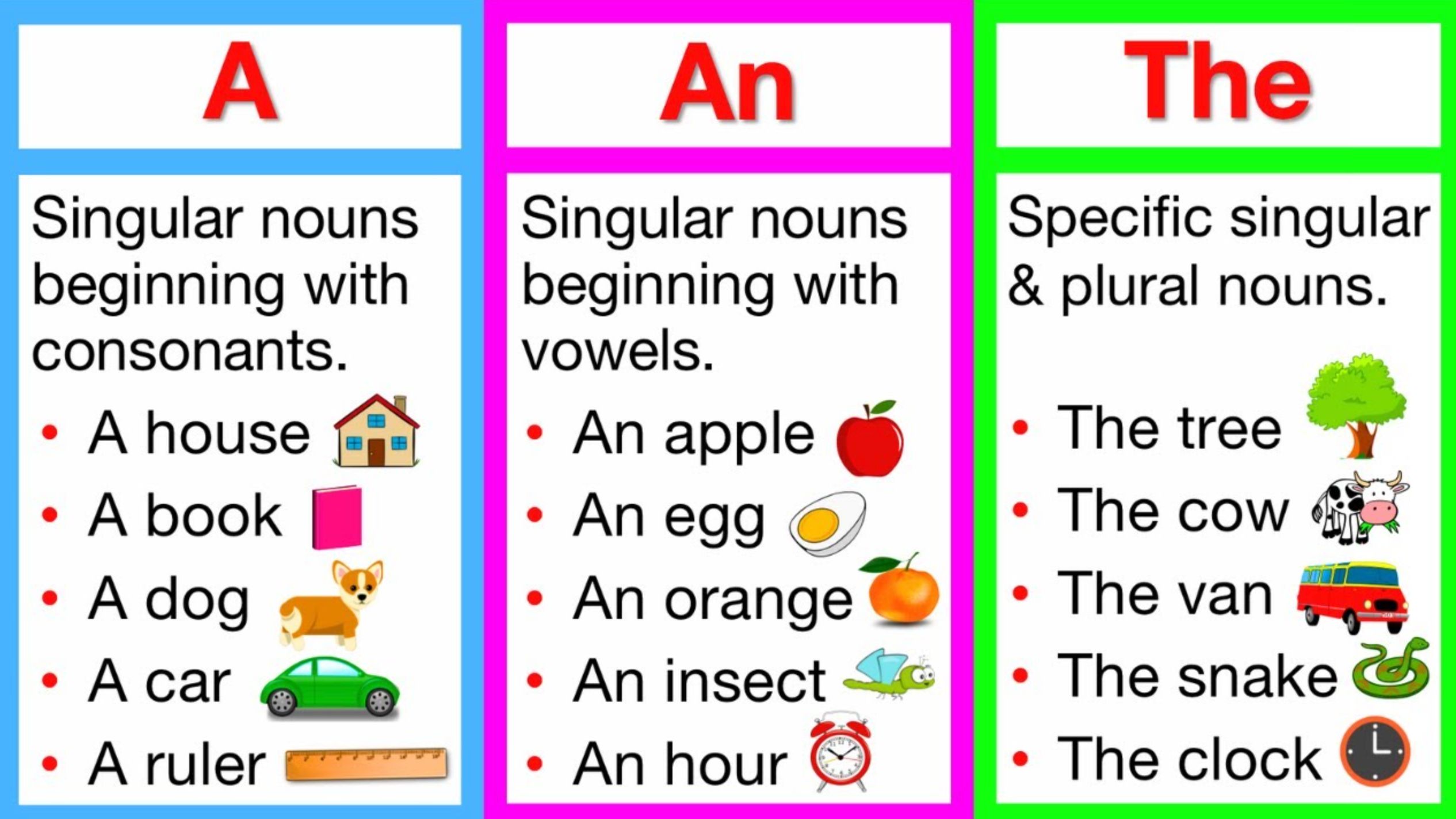 【learn easy english】冠词a, an, the 🤔|什么是冠词/定冠词?
