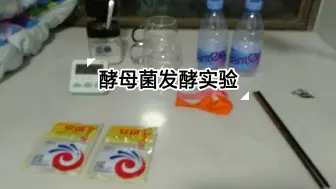 Download Video: 酵母菌发酵实验