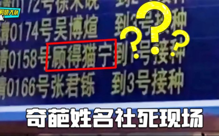 奇葩名字社死现场,爸妈起名字是怎么想的?哔哩哔哩bilibili