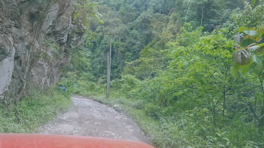 [图]巡普洱茶山——刮风寨 国有林