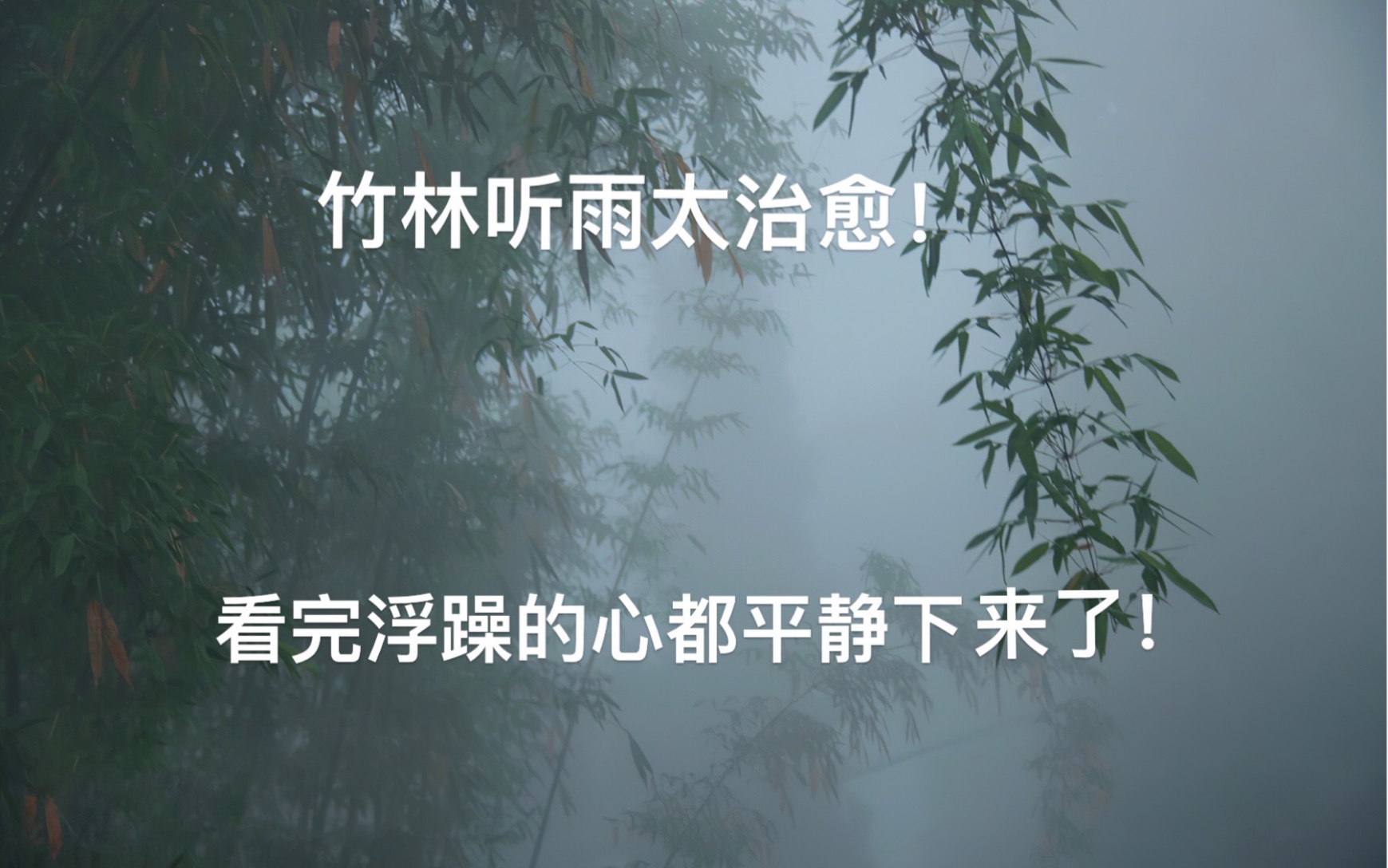 [图]竹林听雨，品一种静，享一时闲暇，得一片悠然清绝。