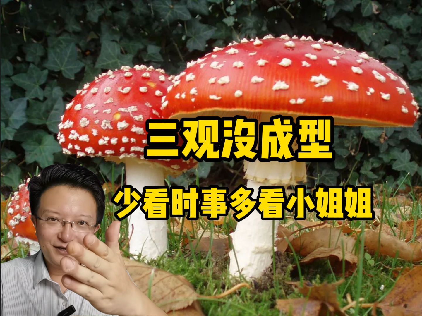 三观没成型以前,看多了热点新闻就是毒药,少关注热点,多看小姐姐.哔哩哔哩bilibili