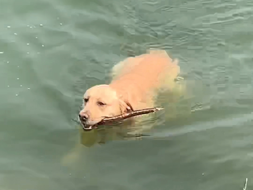 【达宝达不溜】最新视频来袭,快来看看吧!