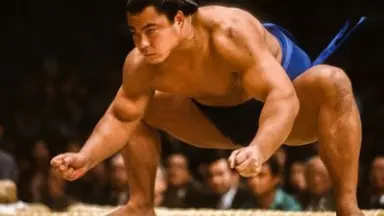 千代大海-哔哩哔哩_Bilibili