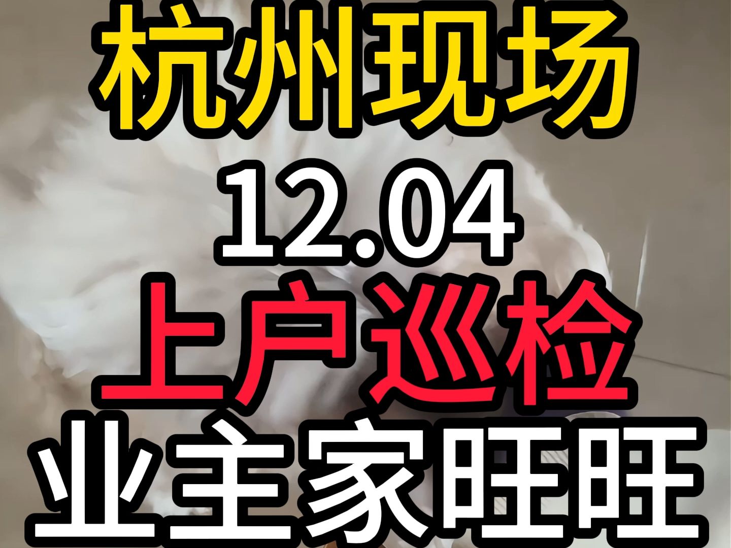 上门巡检杭州家政服务深度保洁日常保洁开荒保洁大理石翻新石材护理哔哩哔哩bilibili