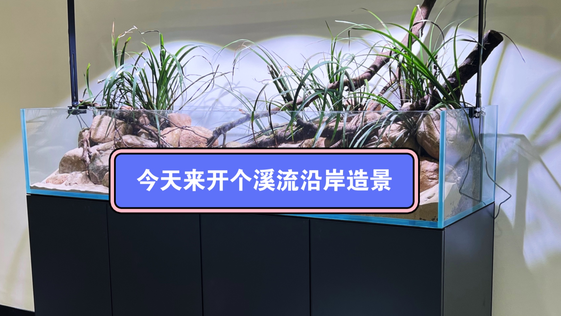 180溪流沿岸造景