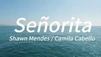 “夏天的专属神曲！”—《Señorita》