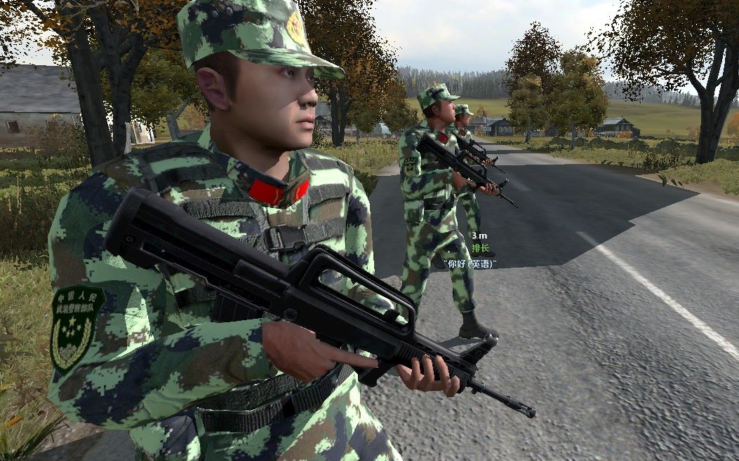 【dskxdsl】【武装突袭自改武警mod】中国武警军体拳展示_哔哩哔哩