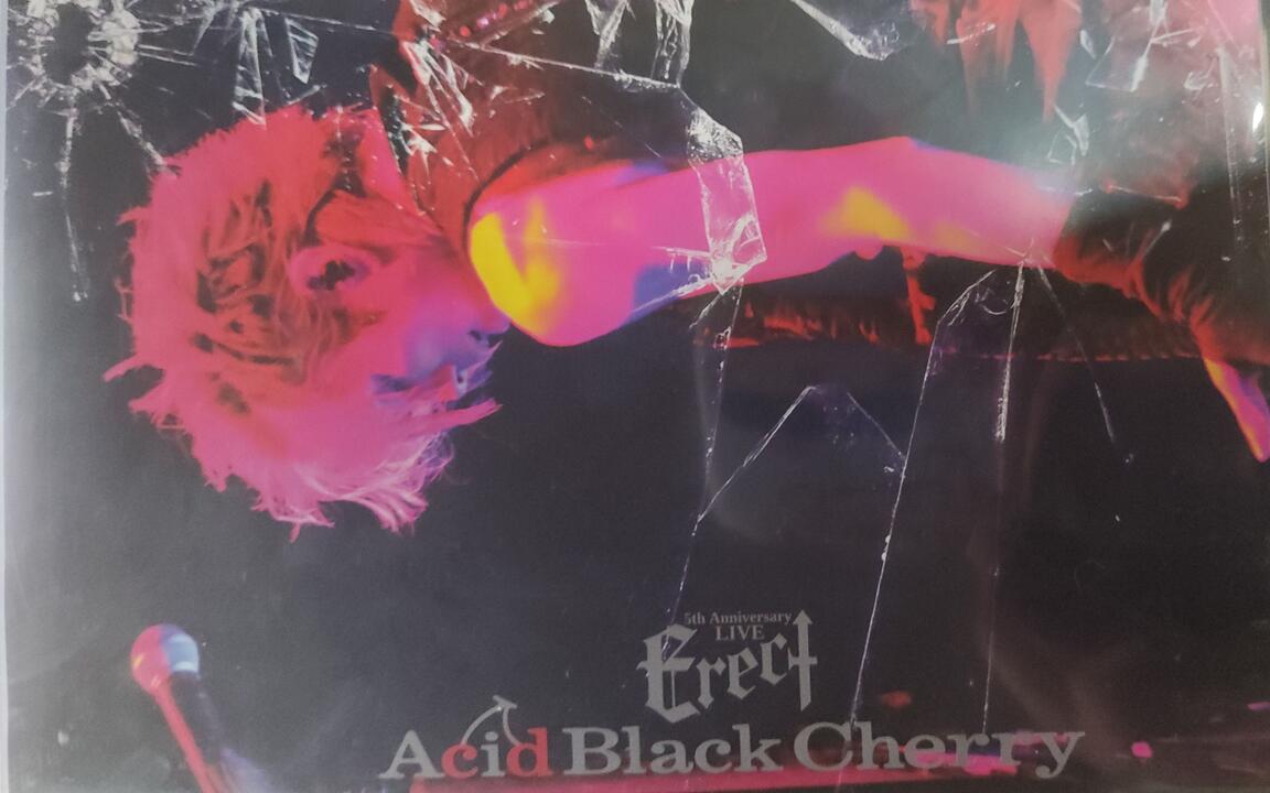 Acid Black Cherry】 5th Anniversary Live Erect（1080p）_哔哩哔哩_