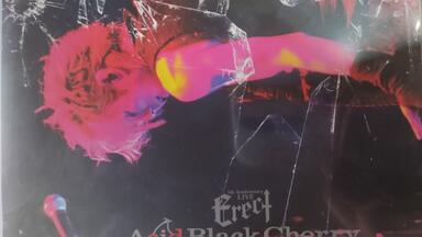 Acie Black Cherry】Acid Black Christmas(完整版1080p)_哔哩 Acie Black Cherry】Acid Black Christmas(完整版1080p)_哔哩
