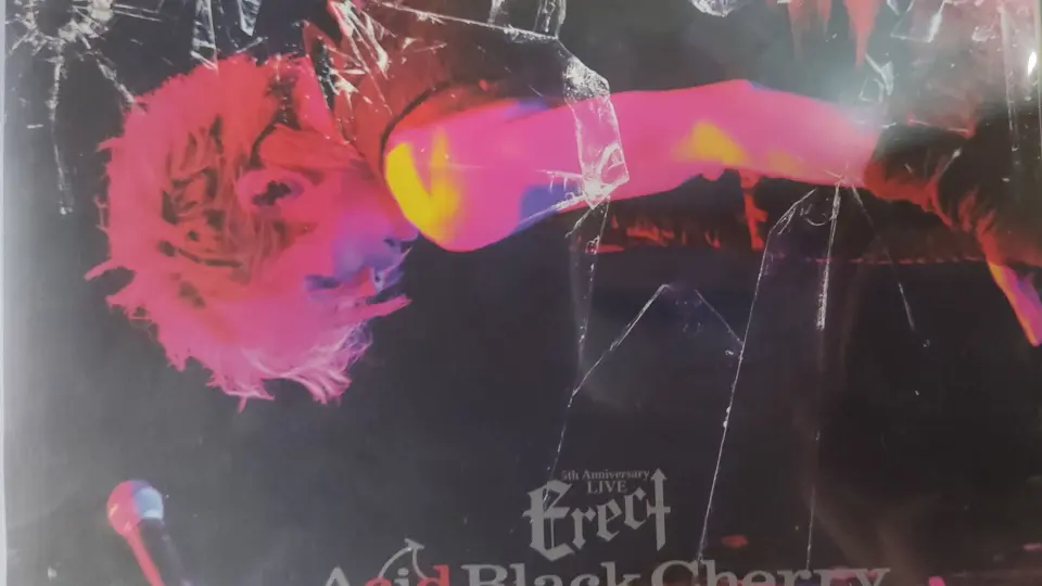 Acid Black Cherry】10th Anniversary Live History Best_哔哩哔哩_ 