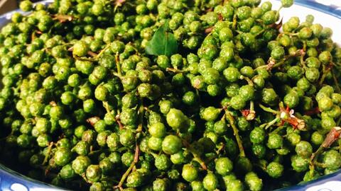 你们要的制作青花椒酱的教程来的 青花椒酱制作方法 哔哩哔哩