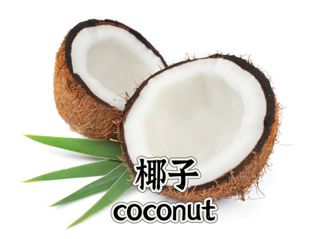 coconutbakery图片