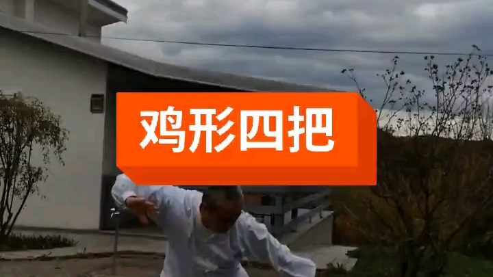 哈尔滨形意拳先生怒练鸡形四把