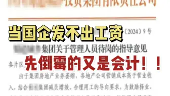 蚌埠住了！国企发不出工资，背锅的又要是会计！考CPA后，目标明确了！