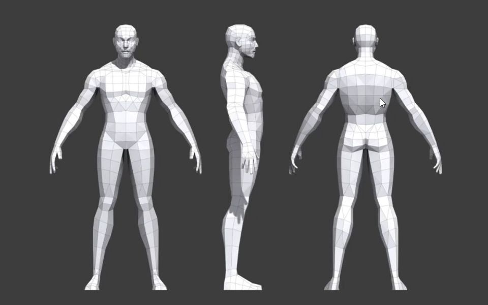 3dmax男性基本模型制作,项目必备角色技能,人体理论知识讲解