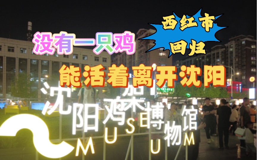 打卡沈阳(夜市篇)——铁西万象汇西红市哔哩哔哩bilibili