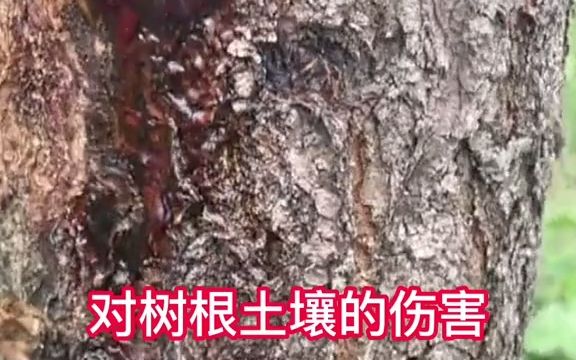 【说三农】你知道果园除草剂为什么不能用草甘膦吗?哔哩哔哩bilibili