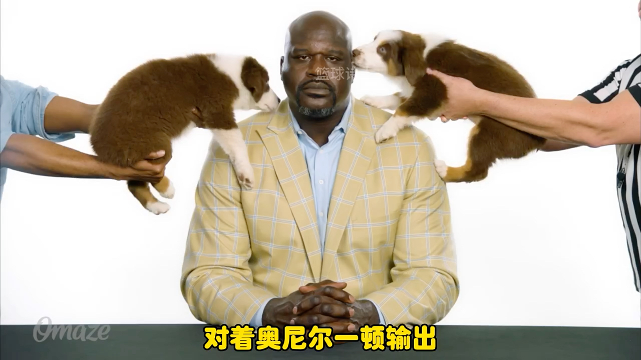 盘点奥尼尔搞笑瞬间,堂堂大鲨鱼竟被刚吃过屎的狗欺负#制霸篮夏 #赛场