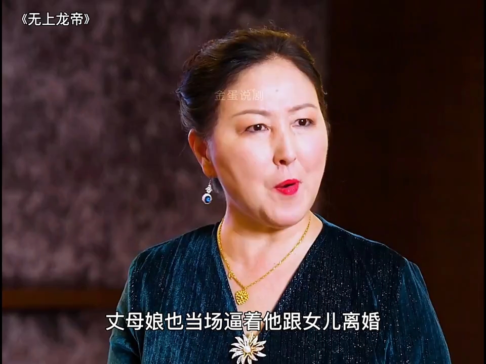 美女总裁带着傻子丈夫参加拍卖会,没想到傻子竟花5000万拍下了一个破项链 #无上龙帝哔哩哔哩bilibili