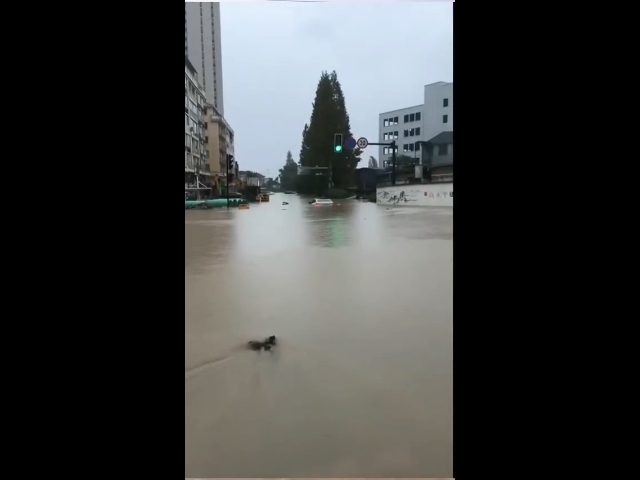 11月1日浙江省台州,台风来袭强降雨致路面积水,汽车涉水抛锚三人被困车内,交警,铲车哥将被困人员救出#吃瓜新闻哔哩哔哩bilibili