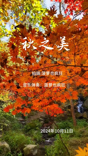 秋天的美,就是色彩斑斓,层林尽染的画面𐟌𙥓”哩哔哩bilibili