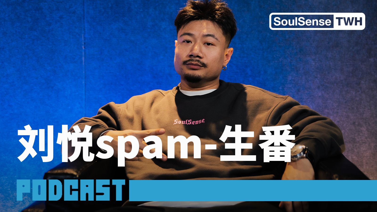 【刘悦spam-生番】"我就不hiphop,我就是一喜欢音乐的傻波依" | soul