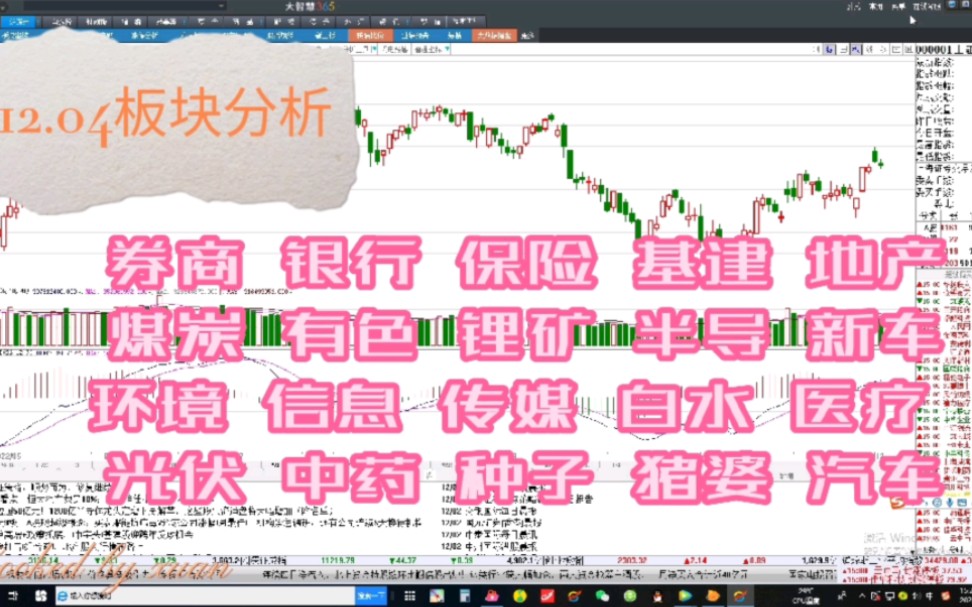 12.04板块分析:券商 银行 保险 基建 地产 煤炭 有色 锂矿 半导 新车环境 信息 传媒 白水 医疗 光伏 中药 种子 猪婆 汽车#股票# #理财#哔哩哔哩bilibili