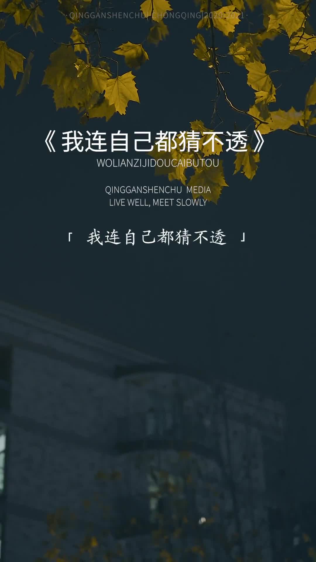 “我连自己都猜不透,怎敢奢望别人能够懂我,活到现在,拿得起,放的下的只有筷子,别说来日方长,挥手之间,都是人走茶凉”哔哩哔哩bilibili