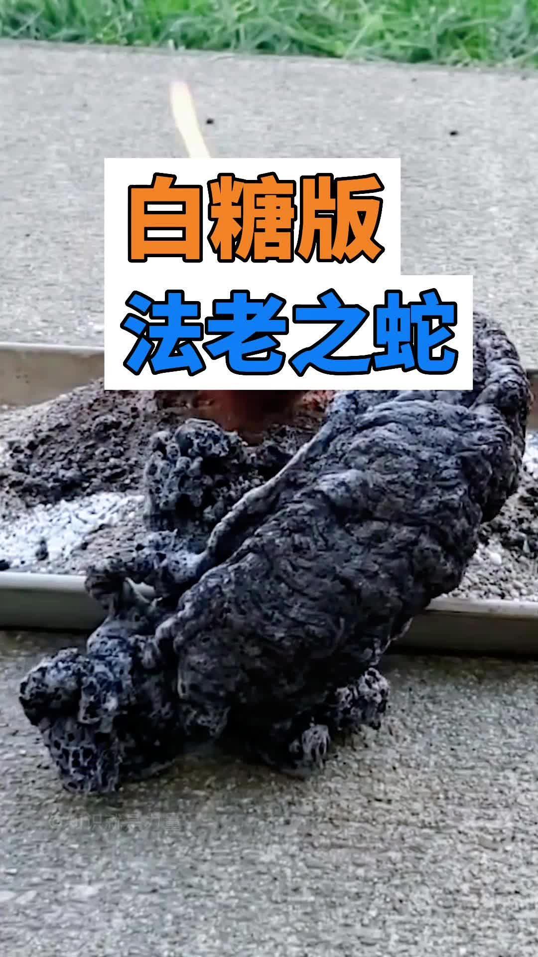 法老之蛇实验简易版图片