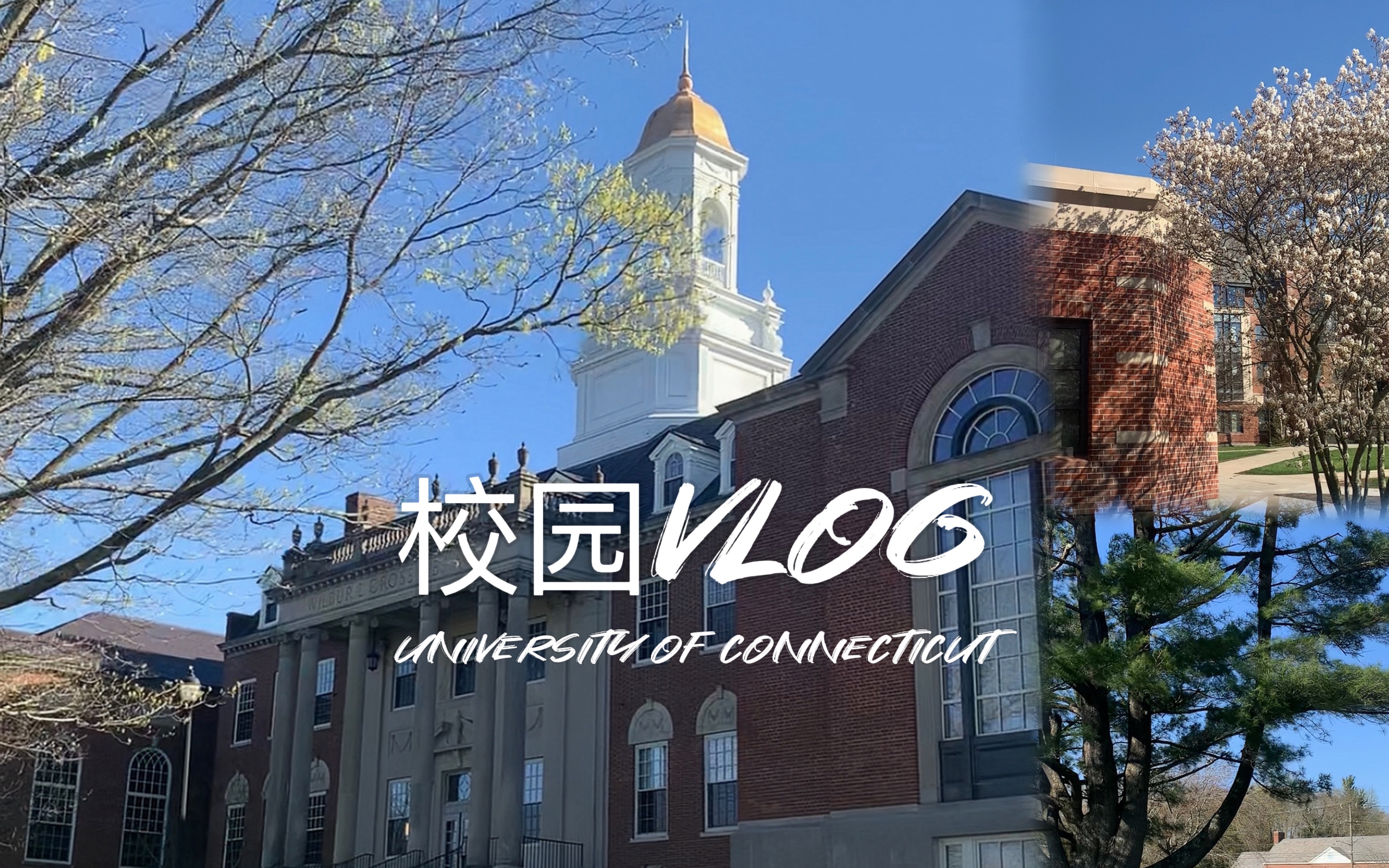 英文vlog|跟着uconn学姐一起逛逛美国康涅狄格大学|20年疫情下的美国