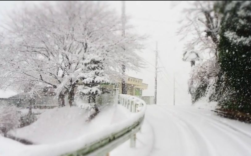 腐醋的日本留学生活日常110八王子雪中美景哔哩哔哩bilibili