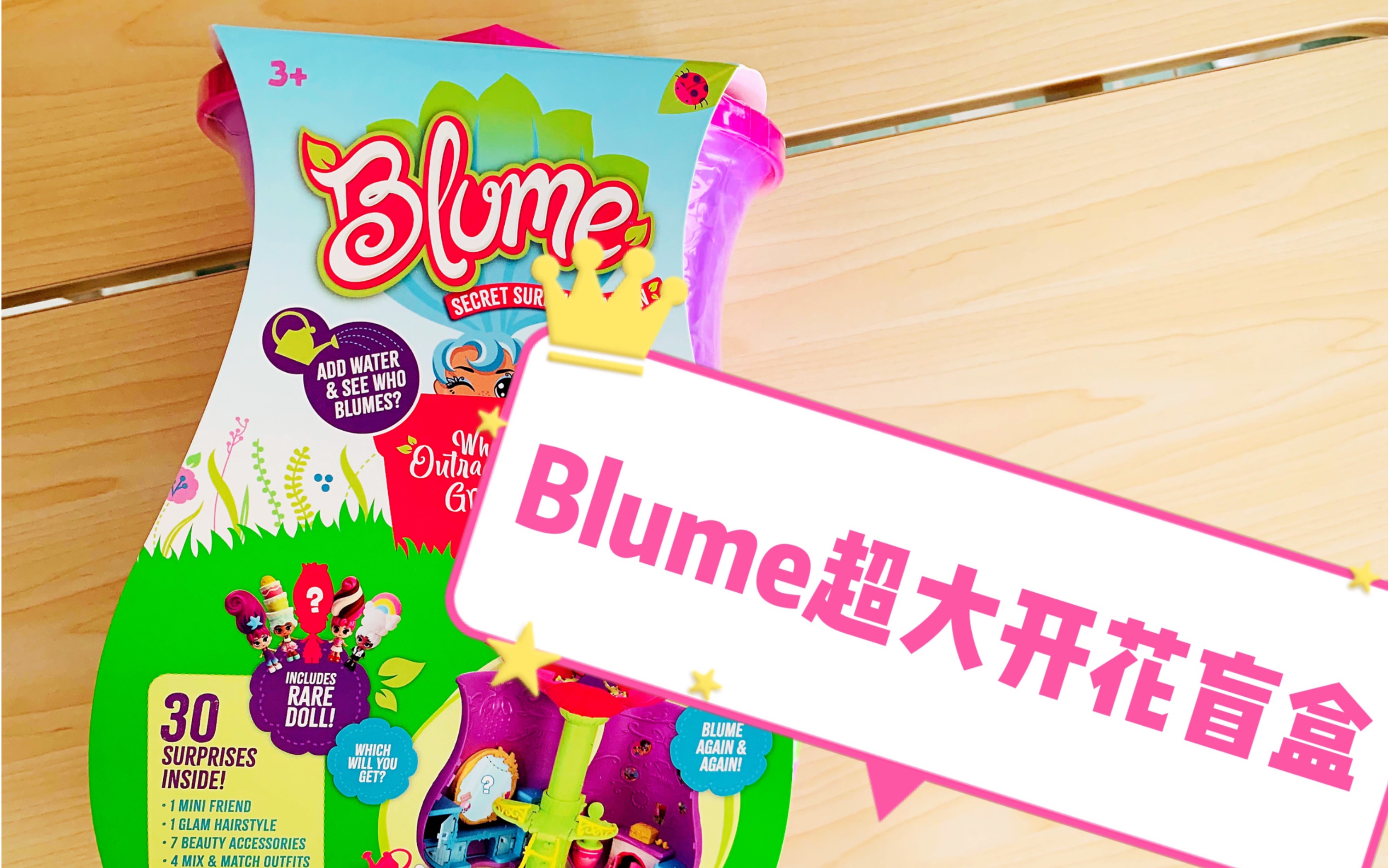 【B站首拆】反复开花的Blume超大开花盲盒(下)哔哩哔哩bilibili