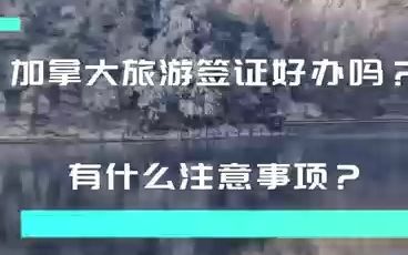 加拿大旅游签证好办吗?有什么注意事项?哔哩哔哩bilibili