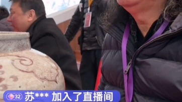 新的仿元代瓷器两件 范海洋华山论鉴