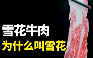 Descargar video: 这样的雪花牛肉，涮卤水火锅也是又嫩又香