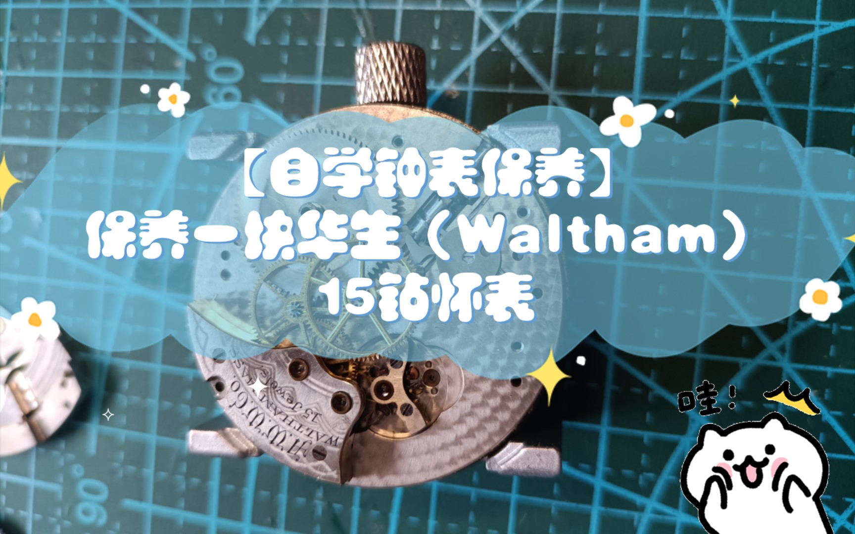 【自学钟表保养】保养一块美国华生(Waltham)15钻怀表哔哩哔哩bilibili