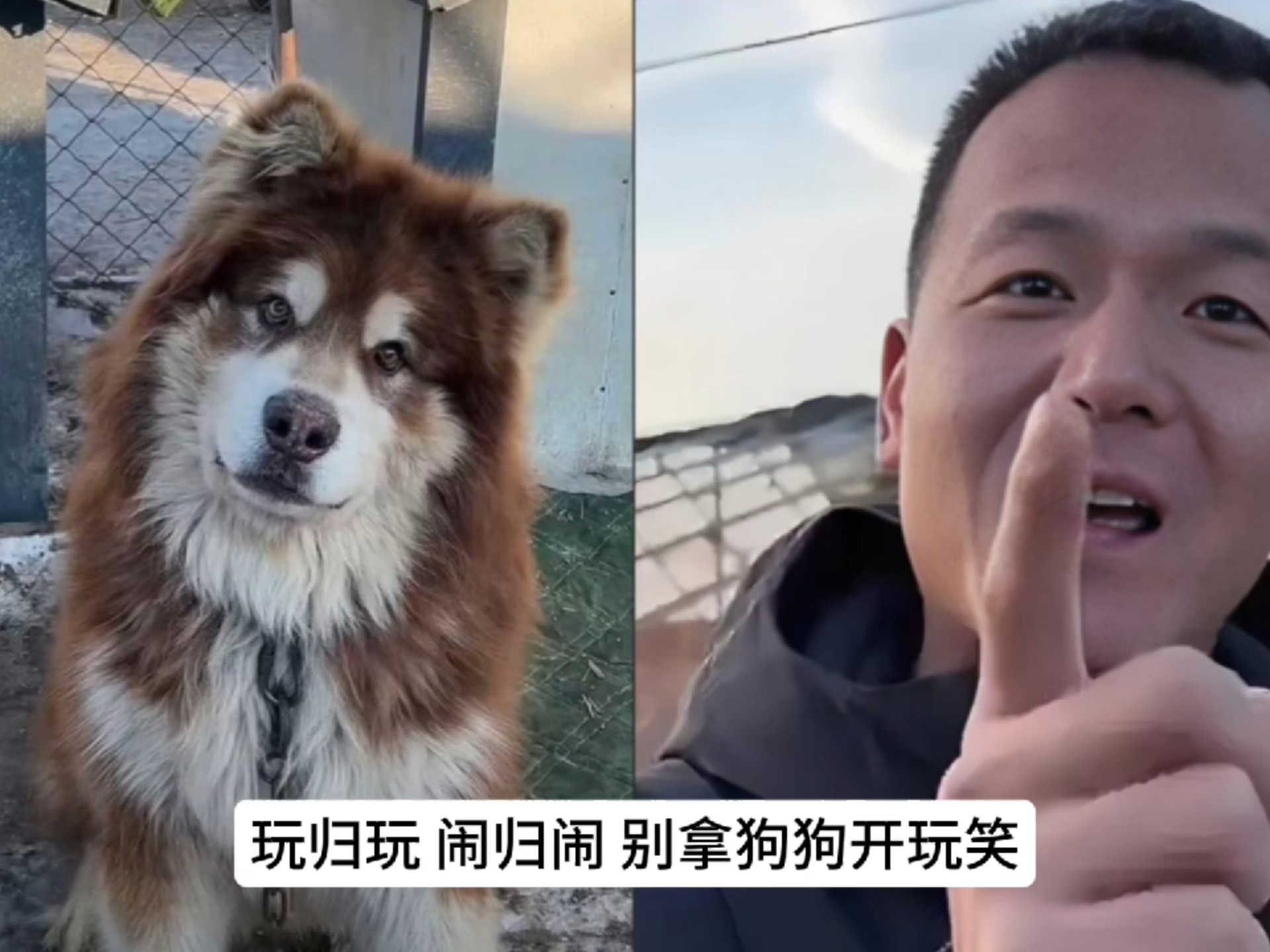 高冷总裁被训成狗幕后花絮